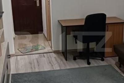 Garsonieră decomandată în Alexandru cel Bun - 7