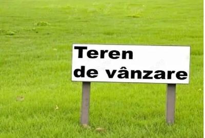 Teren de 750 mp, în Viile Noi - 6