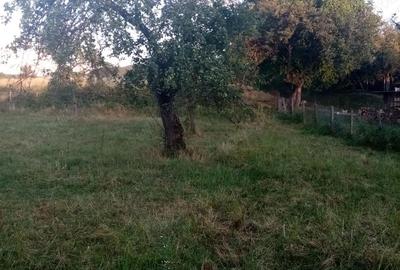 Casă cu 5 camere cu Teren 20142 Mp în Gladna Română - 3