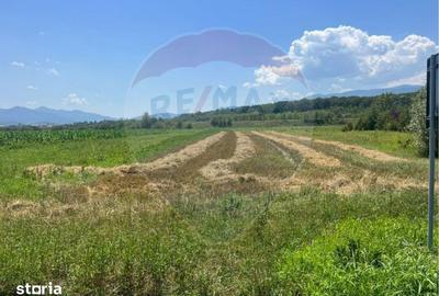 Teren de 14800 mp, în Central - 5
