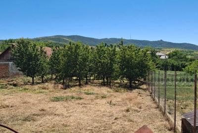 Spațiu comercial, în Mâsca - 2