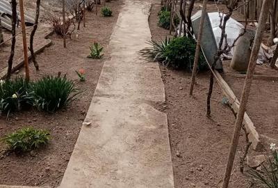 Casă cu 3 camere în Lunca - 6