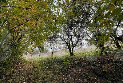 Teren de 702 mp, în Bună Ziua - 2