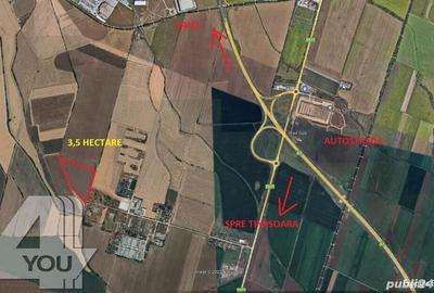 Teren extravilan 35000 mp,Ias Aradul nou aproape de autostrada la km 7 - 3