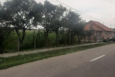 Casă cu 2 camere în Beliu - 10