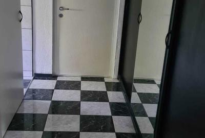 Garsonieră decomandată în Valea Ialomiței - 2