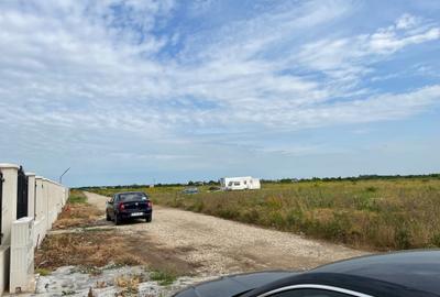 Domnesti- Proprietar, 3 loturi alaturate de 600mp fiecare lot - 8