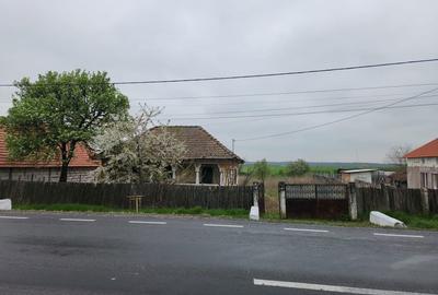 Casă cu 3 camere în Rogova - 8