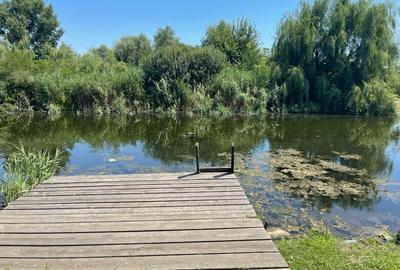 Teren 637mp Silistea Snagovului | Toate Utilitatile | Proprietar - 2