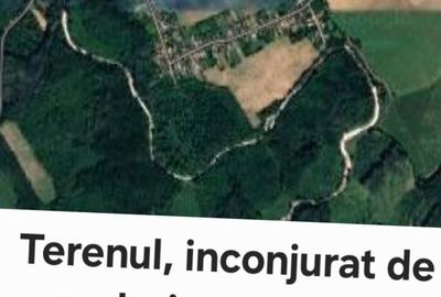 Spațiu comercial, în Sicrita - 1