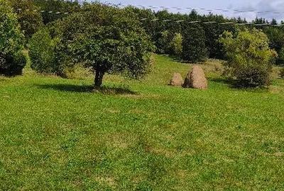 Teren de 11000 mp, în Valea Doftanei - 6