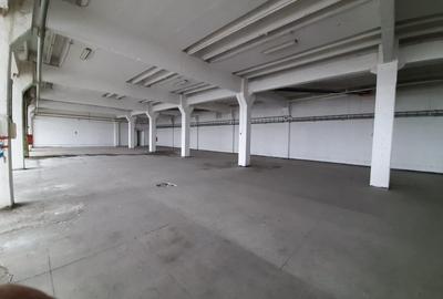 Spațiu industrial, 5000 mp în Mureșeni