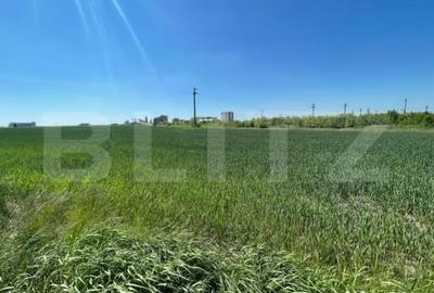 Teren de 25000 mp, în Central - 3