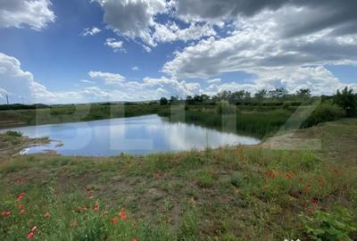 Teren de 10000 mp, în Șărmășag - 6