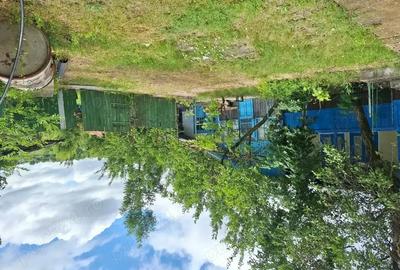 Casă cu 3 camere în Tanacu - 1