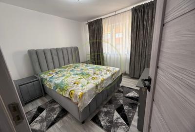 Apartament cu 2 camere decomandat, mobilat în Brazda lui Novac - 3