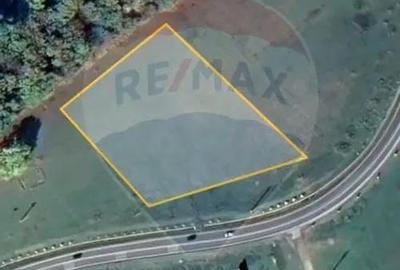 Teren de 7000 mp, în Ilișești - 4