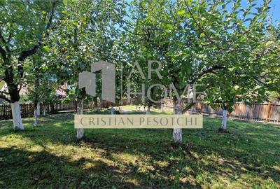 Vila  Provita de  Jos 380mp - 10