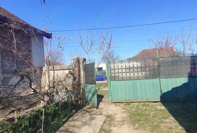 Casă cu 2 camere cu Teren 1800 Mp în Pădureni - 10