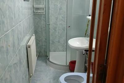 Apartament cu 2 camere, etajul 1/2, zona Podu Ros - 5