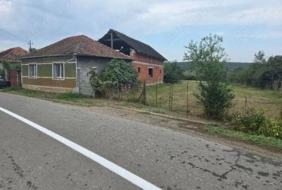 Casă cu 5 camere cu Teren 2670 Mp în Haieu - 1