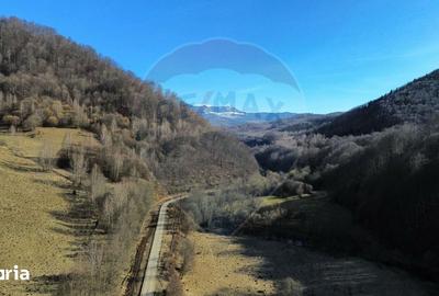 Teren de 16466 mp, în Desești - 8