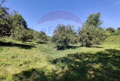 Teren de 3718 mp, în Remetea Chioarului - 6