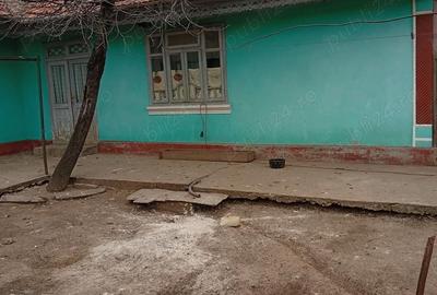 Casă în Blăgești - 1