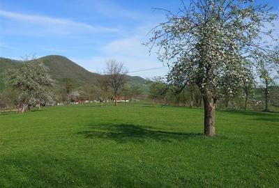 Teren Intravilan  in Luncoiu de Jos, Jd Hunedoara - 7