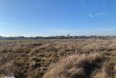 Spațiu comercial, în Săcălaz - 6