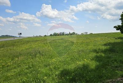 Teren Ilisesti  7000mp extravilan/ DN 17, Suceava - 19