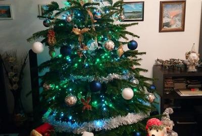 Casă cu 4 camere cu Teren 480 Mp în Ghermănești - 1