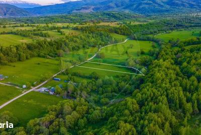 Teren de 3352 mp, în Șinca