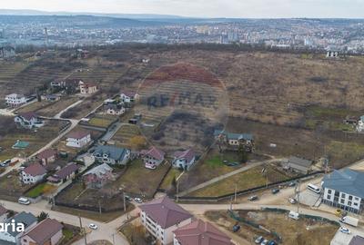 Teren de 13500 mp, în Voinești - 3