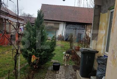 Casă individuală cu 3 camere cu Teren 571 Mp în Făgăraș - 3
