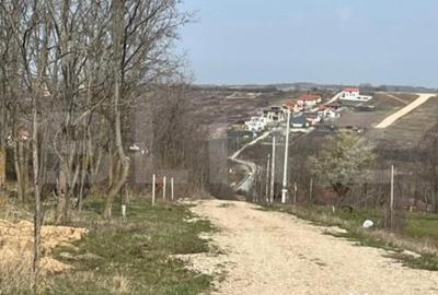 Teren în Paleu - 2
