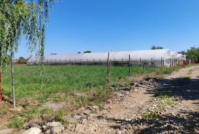 Teren intravilan , liber , zona linistita , civilizata , 40 km de Bucuresti - 2
