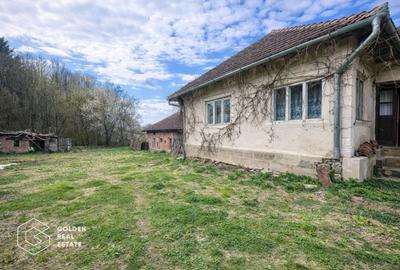 Casă individuală cu 3 camere cu Canalizare în Măgulicea - 3