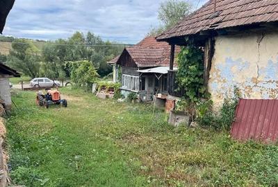 Casă cu Teren 5000 Mp în Mineu - 5