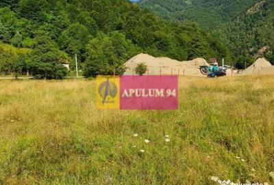 Teren de 744 mp, în Brezoi - 15