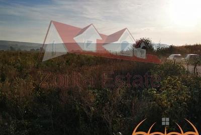 Teren agricol intravilan de 23600 mp, în Nord-Vest - 4