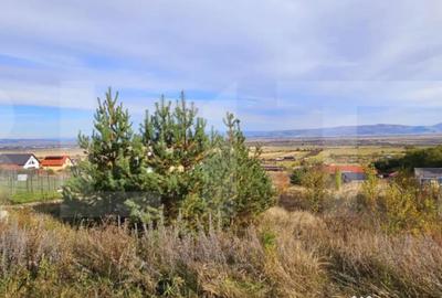 Casă cu 2 camere cu Teren 1883 Mp în Sâncraiu - 2