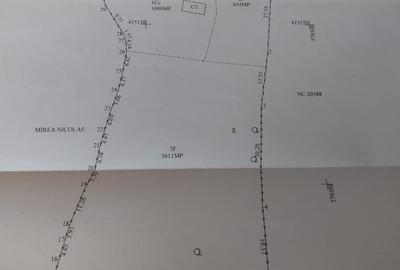 Teren Construcții intravilan de 5265 mp, în Teișani - 3