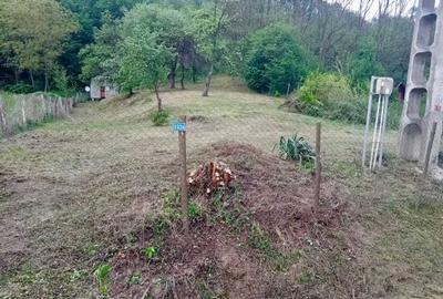 Teren de 1000 mp, în Băbana - 6