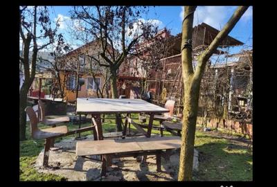 Casă cu 3 camere în Zau de Câmpie - 10