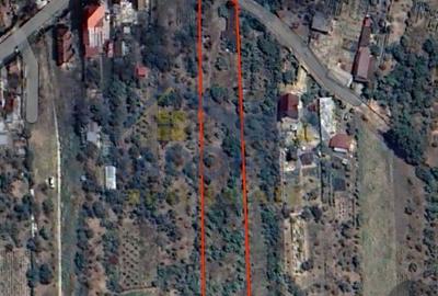 Spațiu comercial, în Păulești - 4