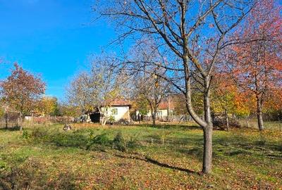 Teren intravilan in Buzau, sat Tega, 3300 mp - 6