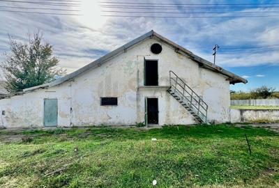 REC3001167 Hala industriala 18500mp Scornicesti-Olt - 6