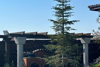 Vila superba cu vedere la lac - posibilitate alipire teren cu iesire la lac - 13