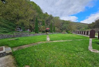 Vila Vetel zona Valea Caoi-OFERTA SPECIALA DE SARBATORI - 16